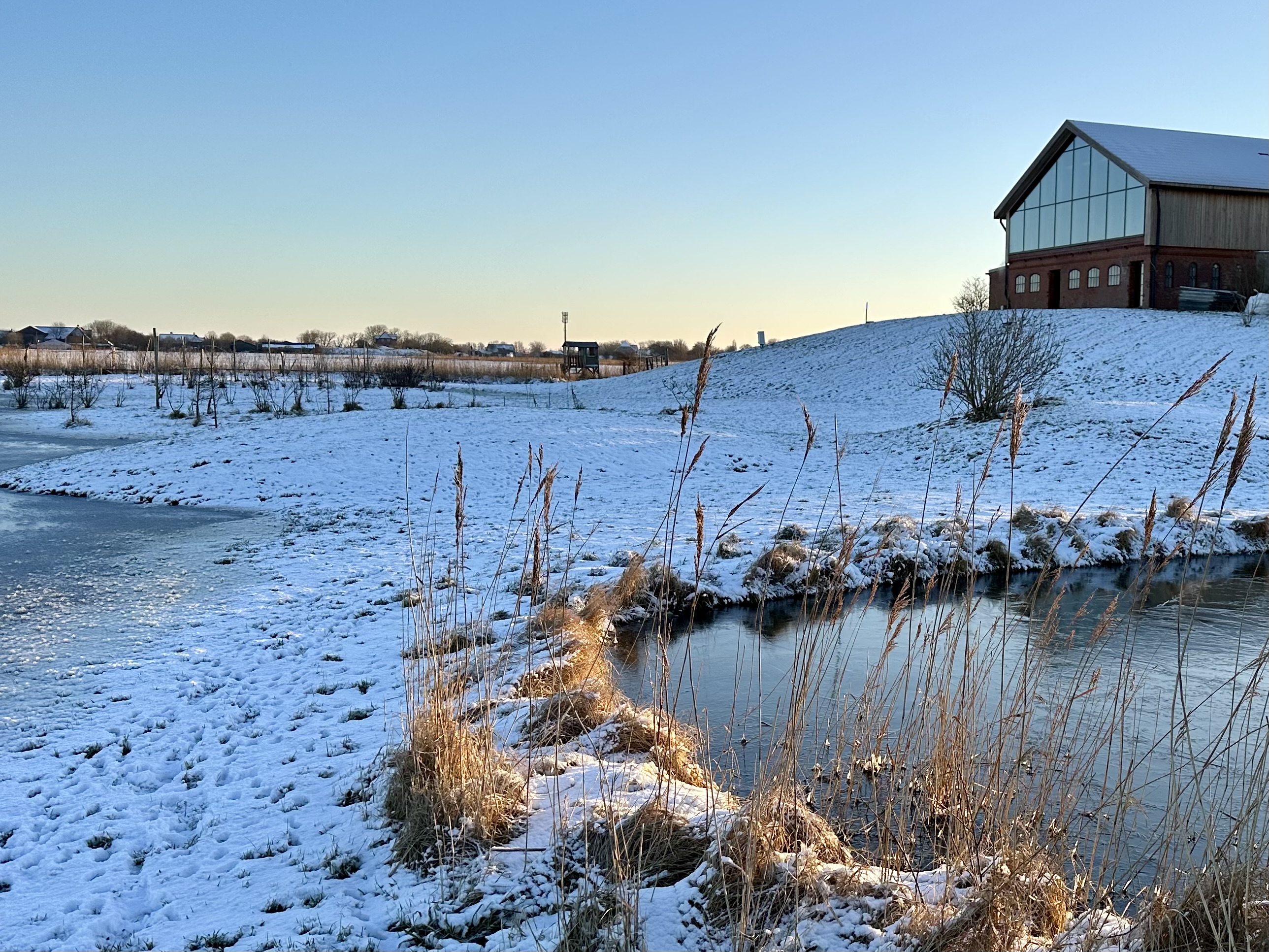 Catharinenwarft Winter